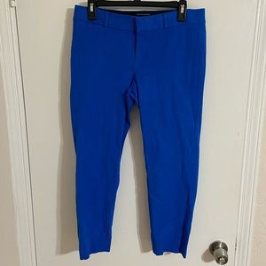 Pop of Color Pants 💙
